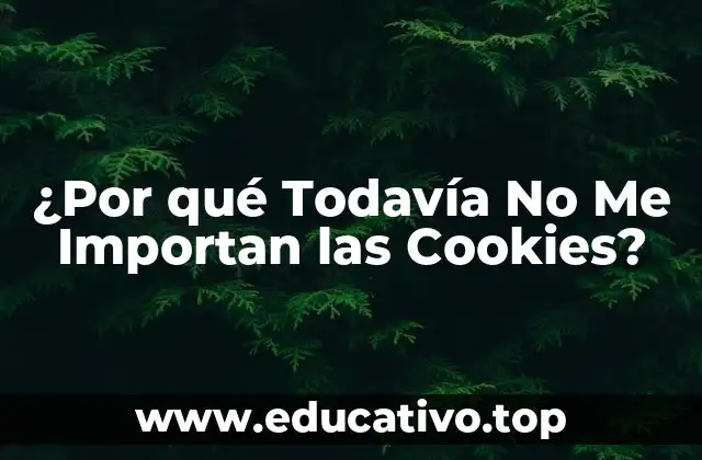 ¿Por qué Todavía No Me Importan las Cookies?