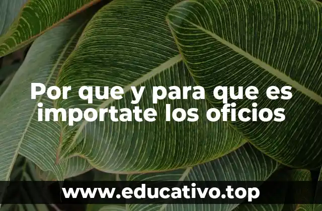 El impacto socioeconómico de los oficios en la sociedad