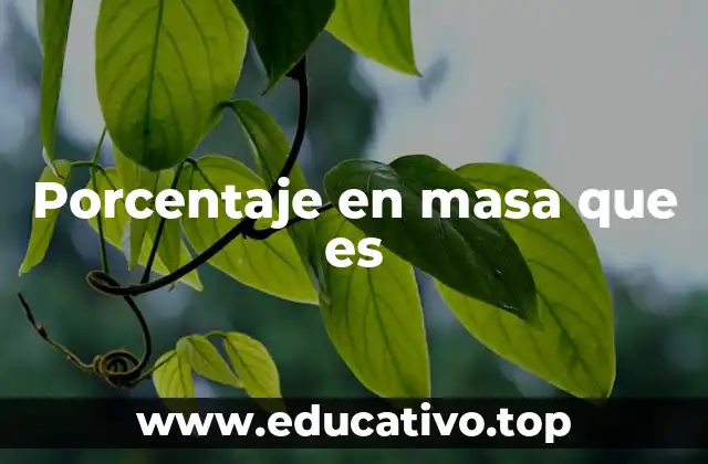 Porcentaje en masa que es