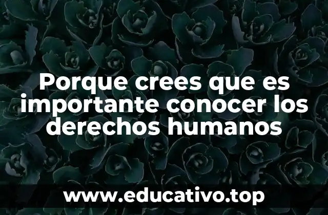 Porque crees que es importante conocer los derechos humanos