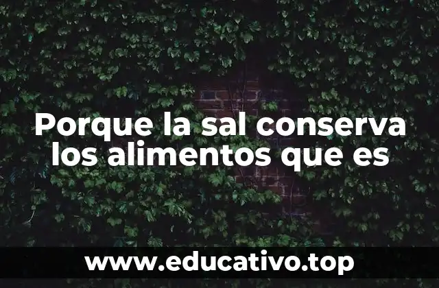 Porque la sal conserva los alimentos que es