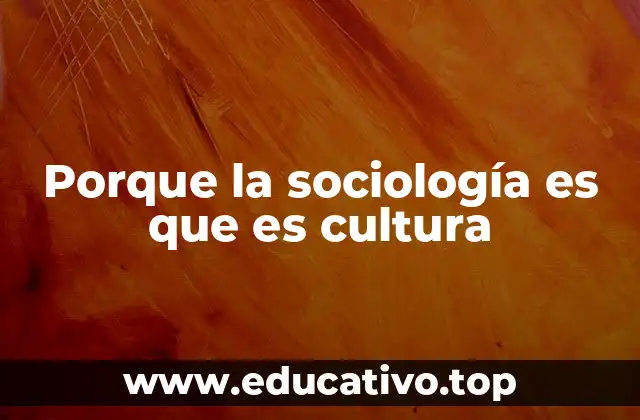 Porque la sociología es que es cultura