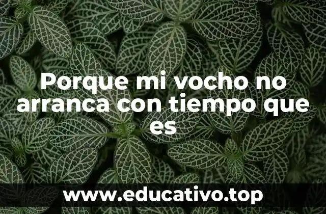 Porque mi vocho no arranca con tiempo que es