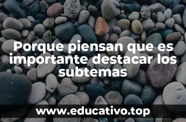 Porque piensan que es importante destacar los subtemas