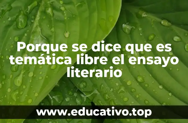 Porque se dice que es temática libre el ensayo literario