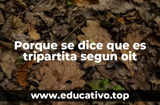 Porque se dice que es tripartita segun oit