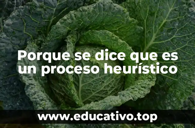 Porque se dice que es un proceso heurístico