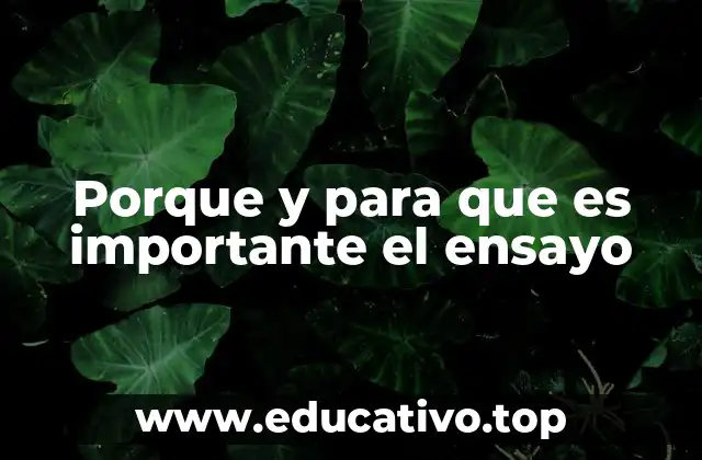 Porque y para que es importante el ensayo