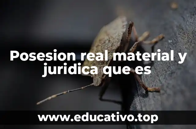 Posesion real material y juridica que es