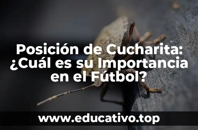 Posición de Cucharita: ¿Cuál es su Importancia en el Fútbol?