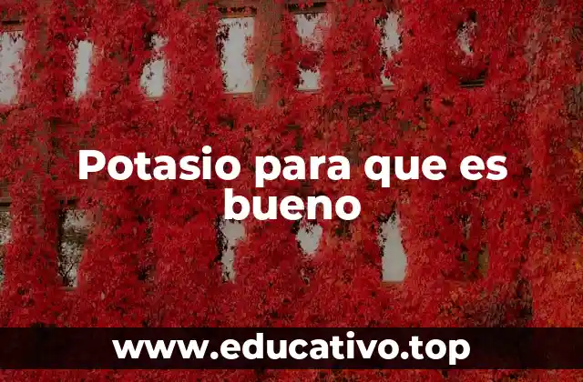 Potasio para que es bueno