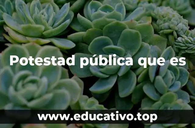 Potestad pública que es