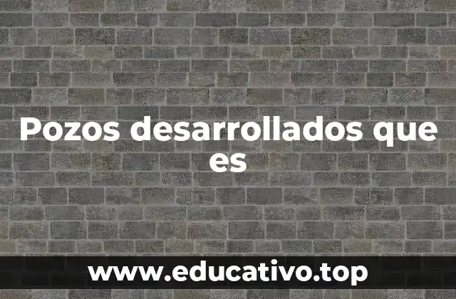 Pozos desarrollados que es