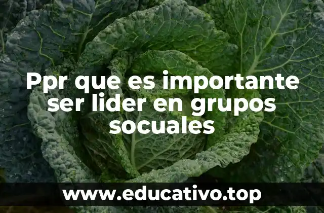 Ppr que es importante ser lider en grupos socuales
