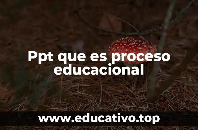 Ppt que es proceso educacional