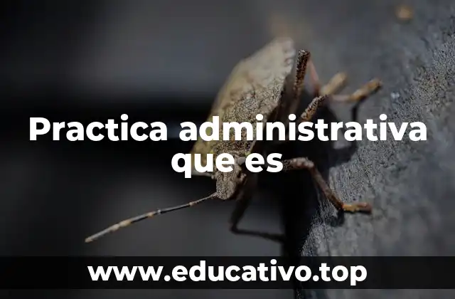 Practica administrativa que es