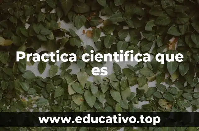 Practica cientifica que es