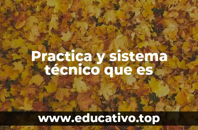 Practica y sistema técnico que es