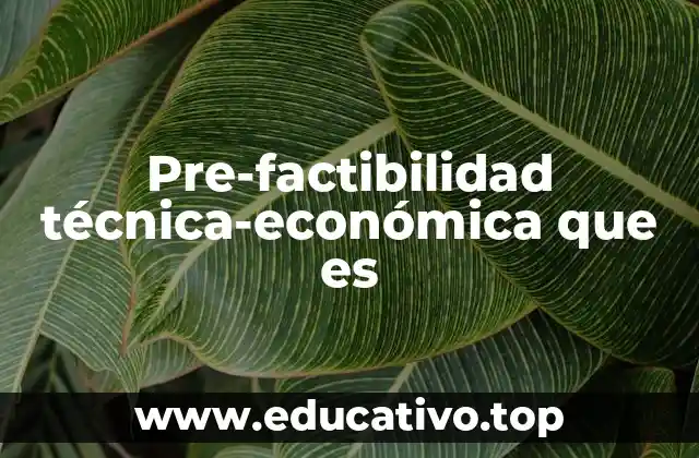 Pre-factibilidad técnica-económica que es