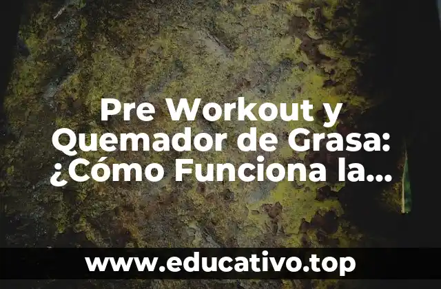 Pre Workout y Quemador de Grasa: ¿Cómo Funciona la Combinación Perfecta?