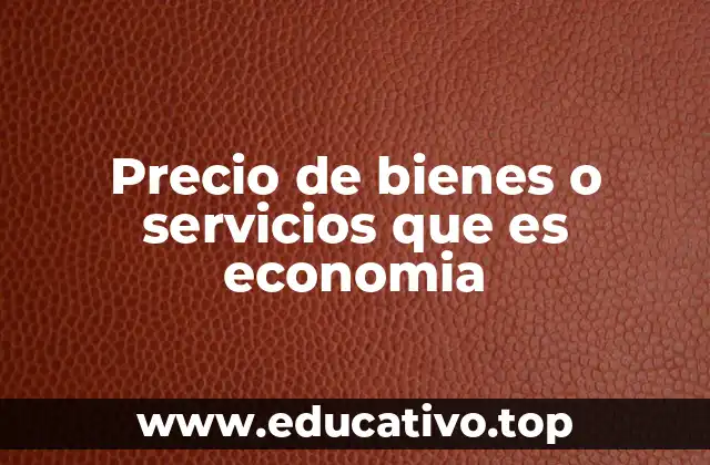 El papel del precio en la asignación de recursos económicos