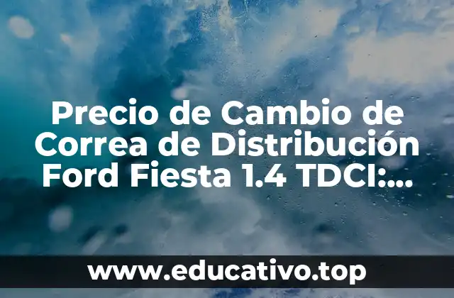 Precio de Cambio de Correa de Distribución Ford Fiesta 1.4 TDCI: Guía Completa