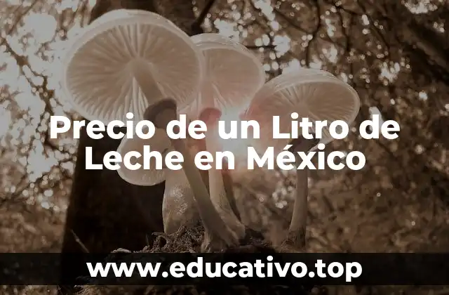 Precio de un Litro de Leche en México