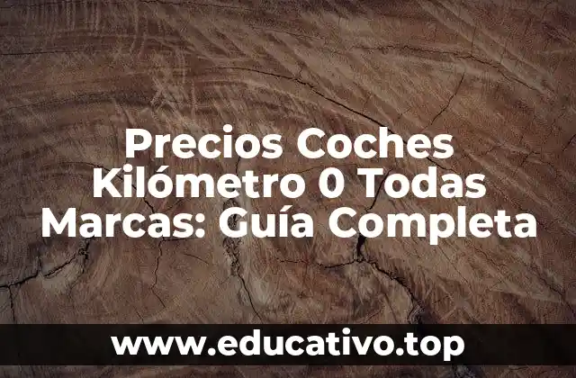 Precios Coches Kilómetro 0 Todas Marcas: Guía Completa