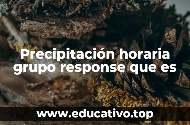 Cómo se aplica la precipitación horaria grupo response en la gestión climática