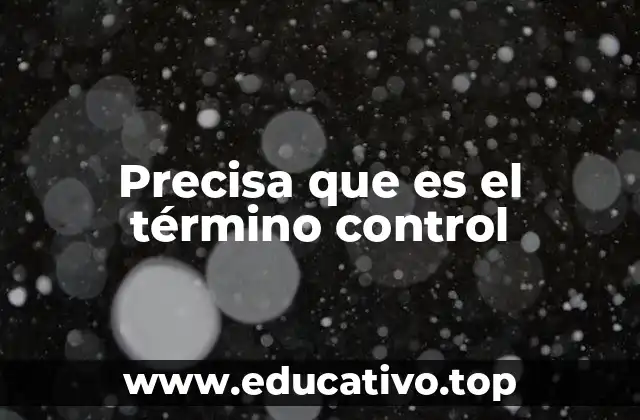 Precisa que es el término control
