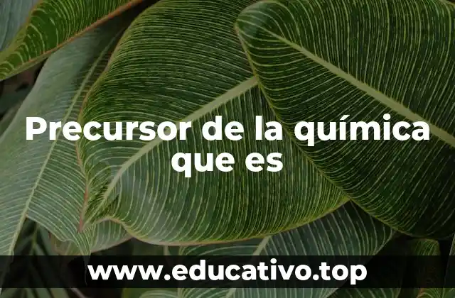 Precursor de la química que es