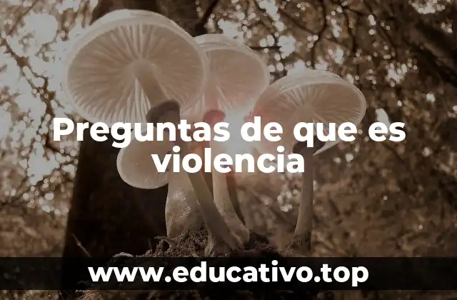 Preguntas de que es violencia