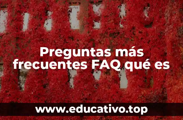 Preguntas más frecuentes FAQ qué es