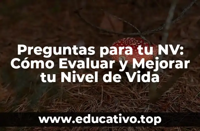 Preguntas para tu NV: Cómo Evaluar y Mejorar tu Nivel de Vida