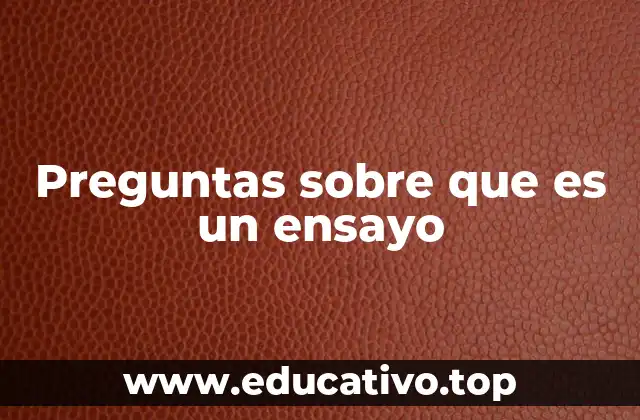 Preguntas sobre que es un ensayo