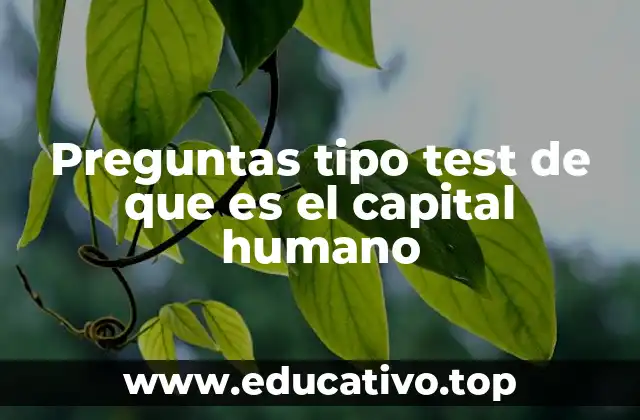 Preguntas tipo test de que es el capital humano