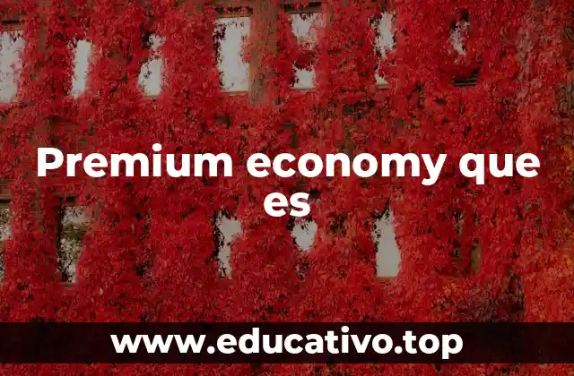 Premium economy que es