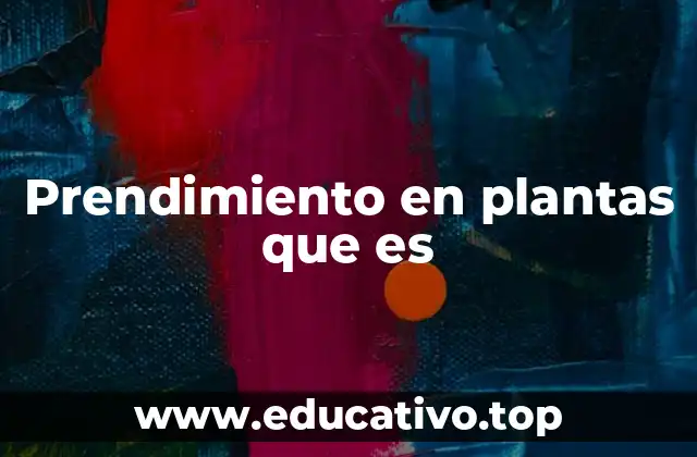 Prendimiento en plantas que es