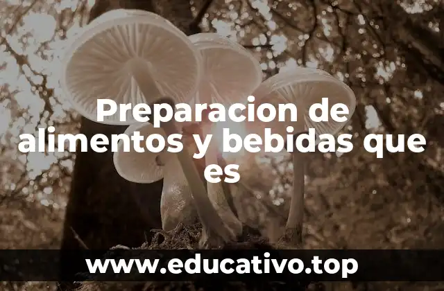 Preparacion de alimentos y bebidas que es