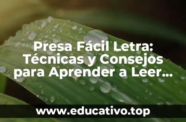 Presa Fácil Letra: Técnicas y Consejos para Aprender a Leer Rápido y con Fluidez