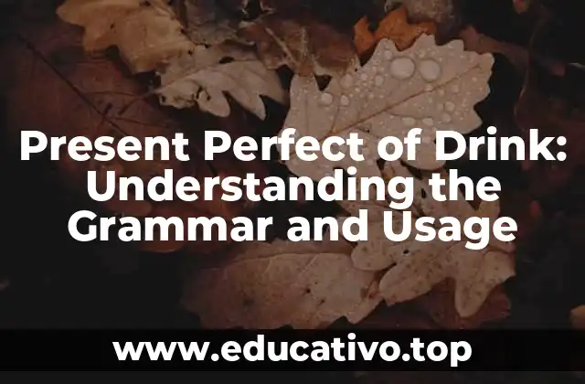 Present Perfect of Drink: Understanding the Grammar and Usage