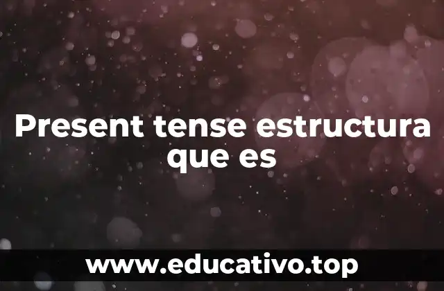 Present tense estructura que es