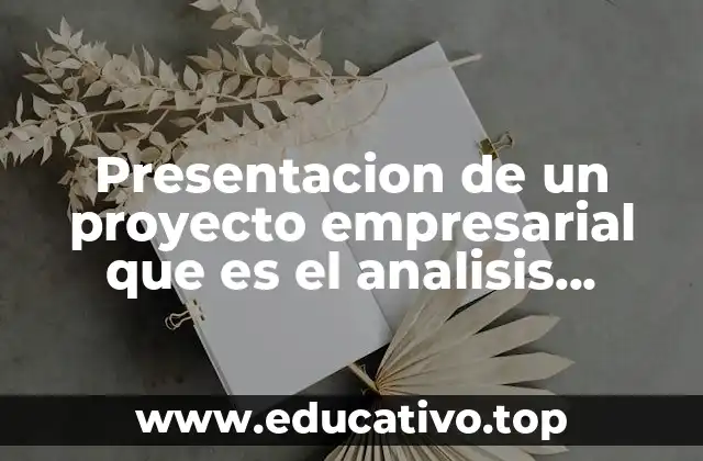 Presentacion de un proyecto empresarial que es el analisis costo-beneficio