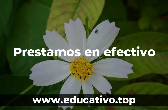 Prestamos en efectivo