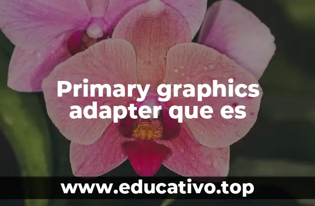 Primary graphics adapter que es