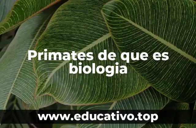 Primates de que es biologia