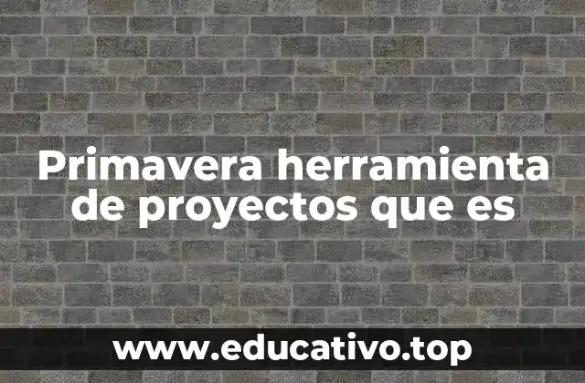 Primavera herramienta de proyectos que es