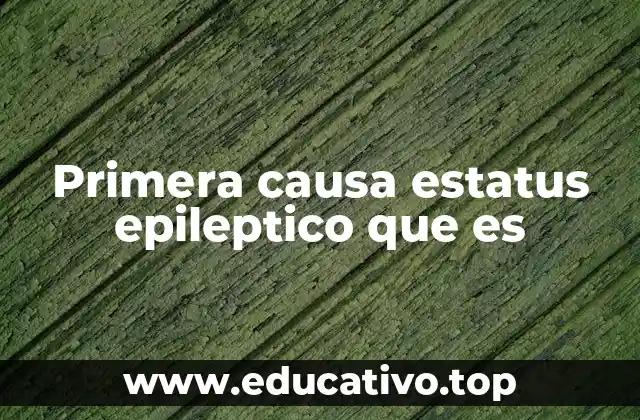 Primera causa estatus epileptico que es