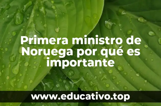 Primera ministro de Noruega por qué es importante