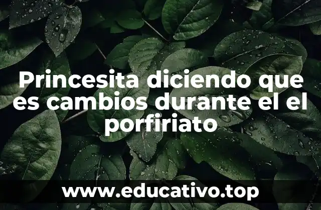 Princesita diciendo que es cambios durante el el porfiriato